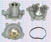 AQUAPLUS 85-4080 Water Pump